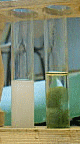 sol3.gif