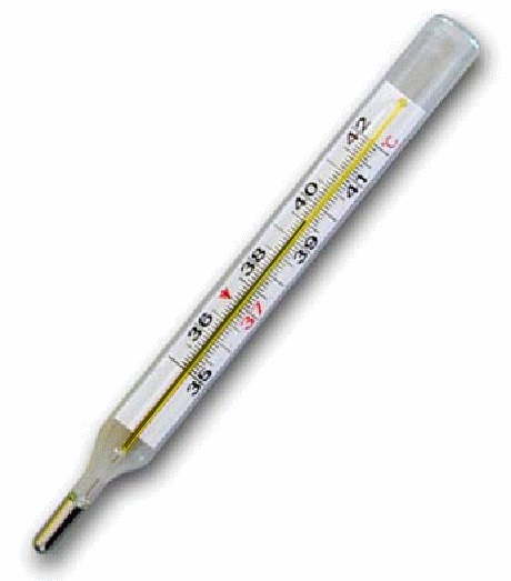 thermo2.gif